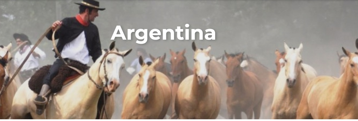 Agencia de Viajes Destino Argentina